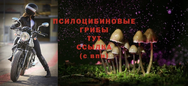синтетический гашиш Арсеньев