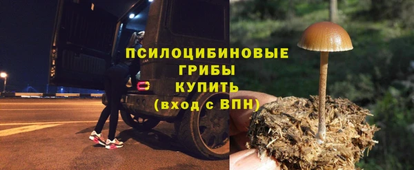 синтетический гашиш Арсеньев