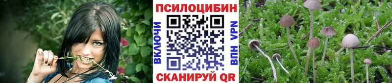 Галлюциногенные грибы мицелий магазин Беломорск